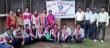 Tree Plantation